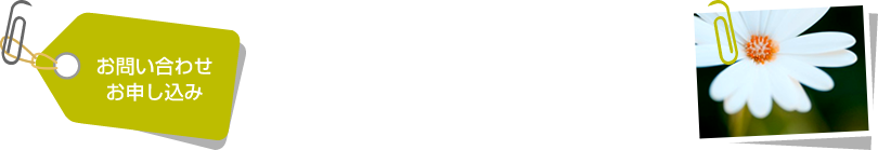 お問い合わせ・お申し込み
