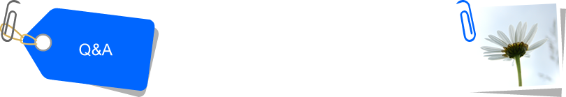 Q&A